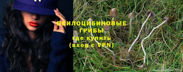 дмт Алзамай