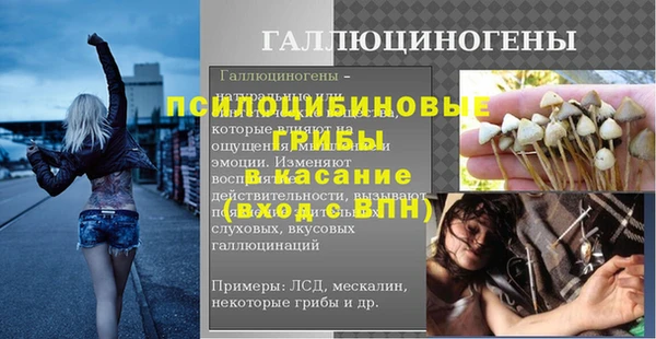 амф Алексин