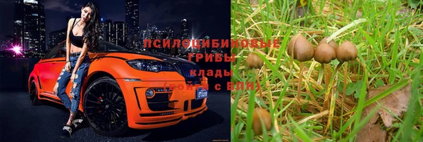 дмт Алзамай