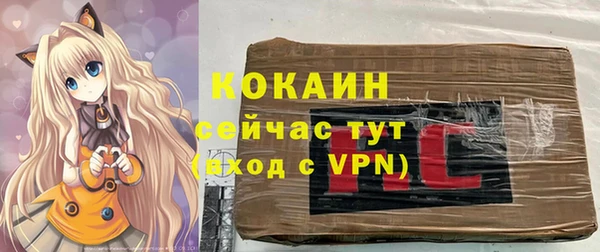 амф Алексин