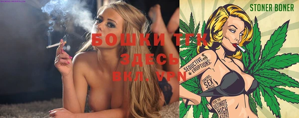 амф Алексин